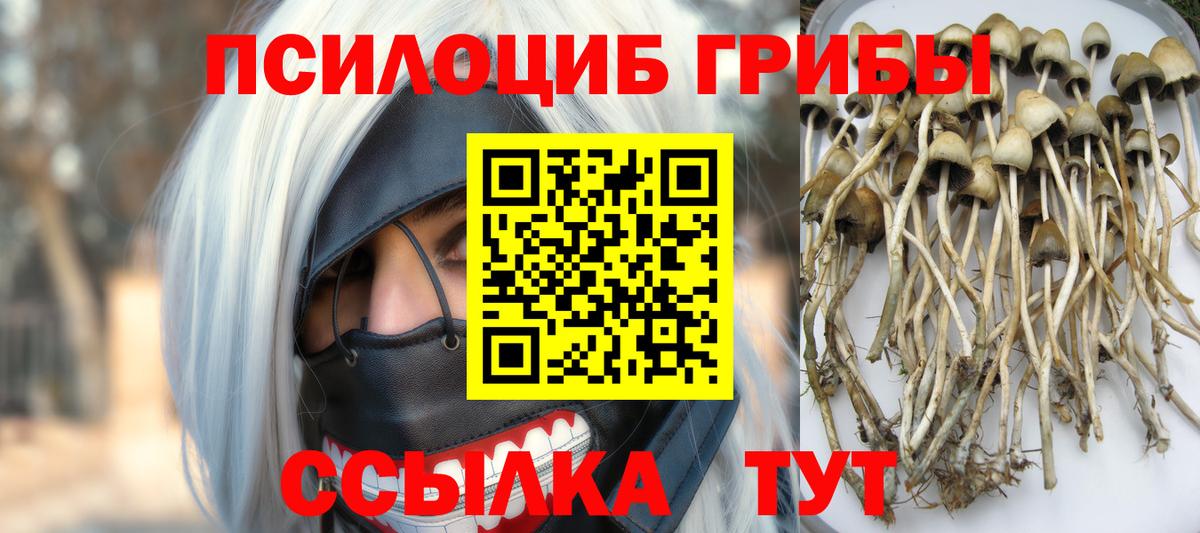 Новый Уренгой  Галлюциногенные грибы мицелий  Вход с VPN 